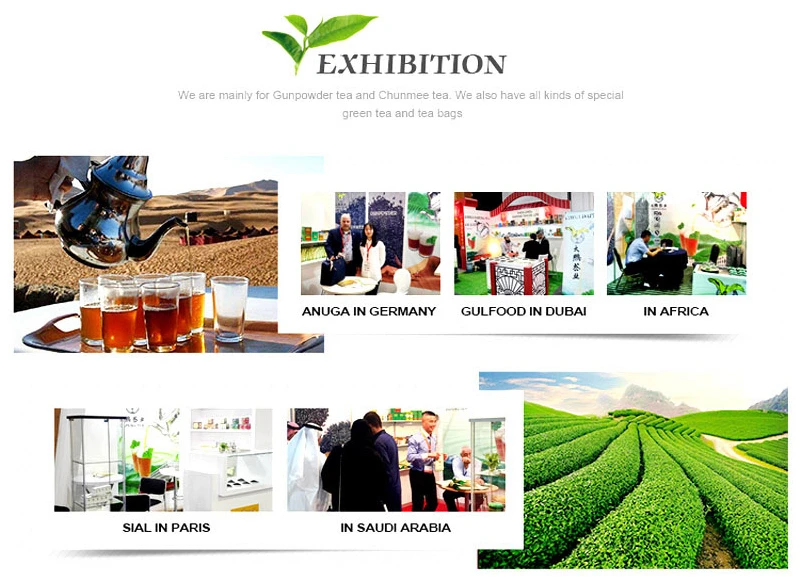 houtu tea-7